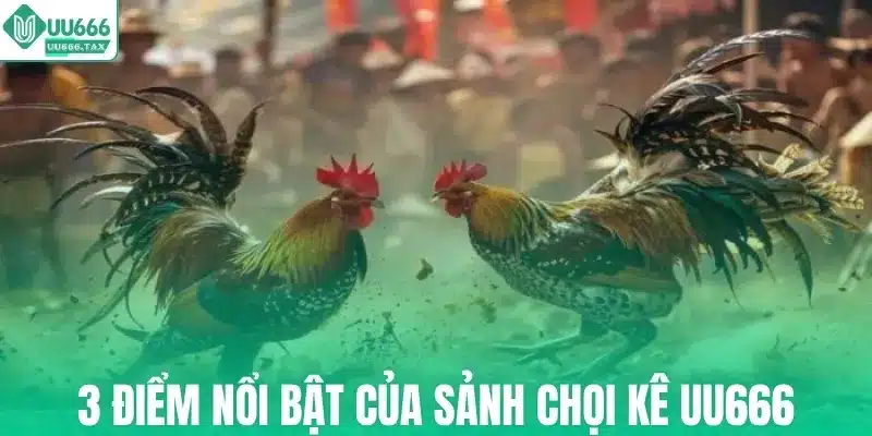 3 điểm nổi bật của sảnh chọi kê UU666